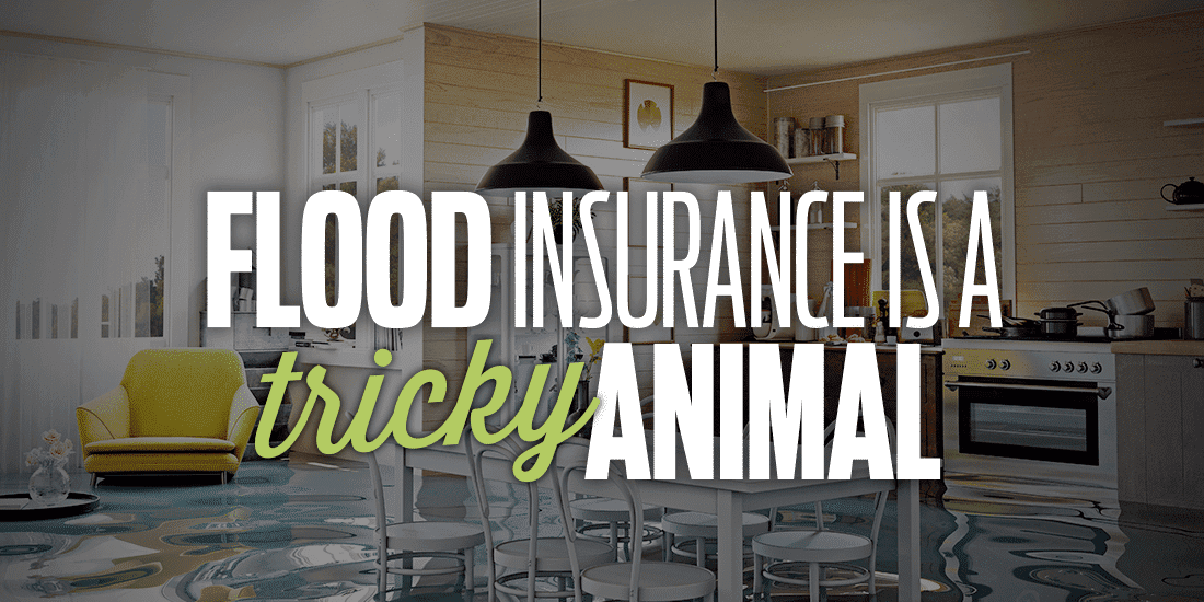 Flood Insurance Is A Tricky Animal