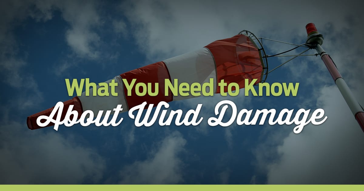 What You Need to Know About Wind Damage