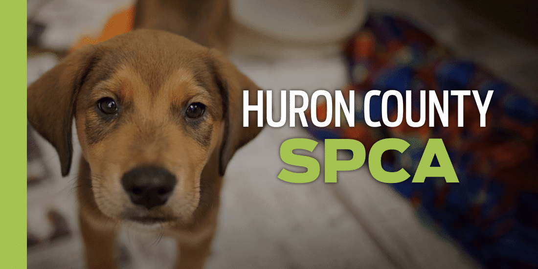 Huron County SPCA