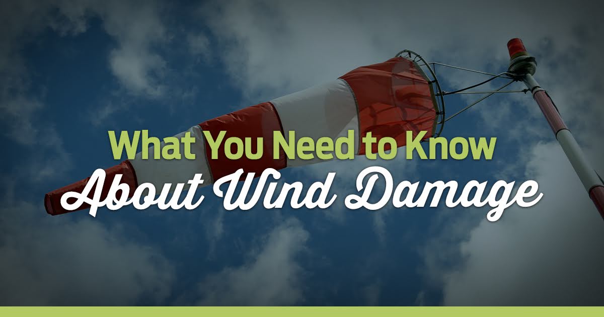 winddamage