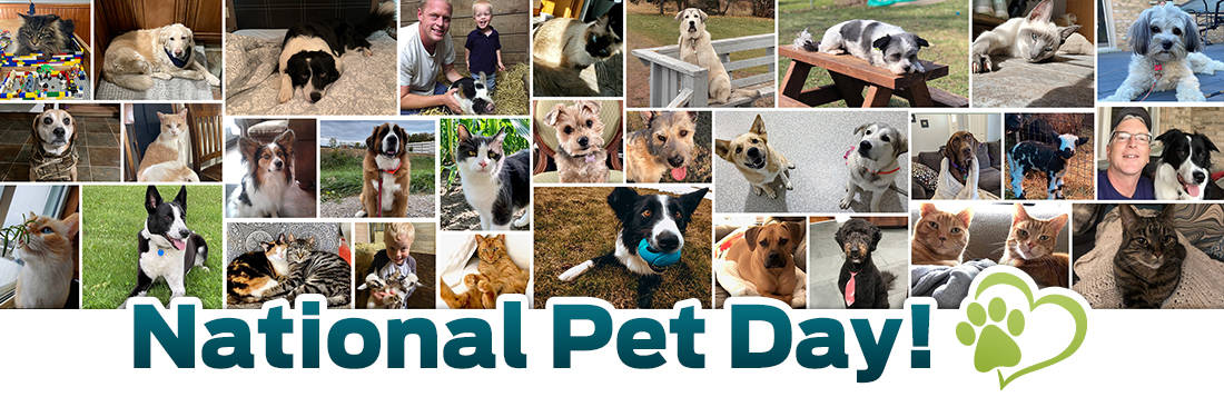 National Pet Day