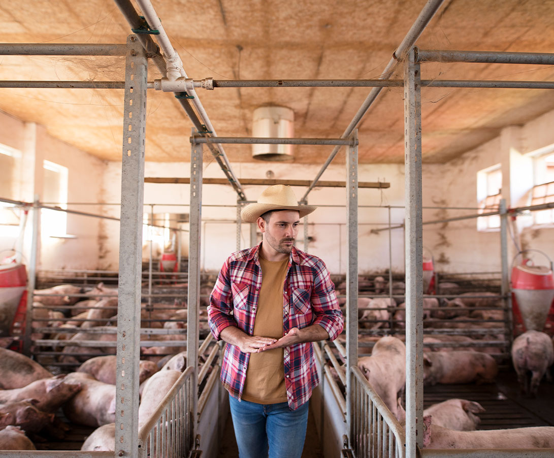 hogfarinsruanceimage hogfarinsruanceimage