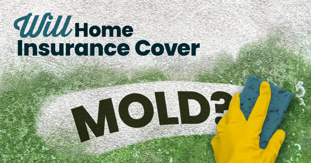 Will Home Insurance Cover Mold?